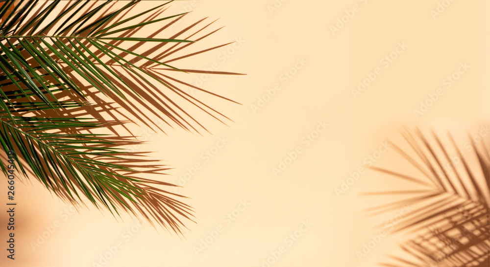 Obraz premium Summer flat lay scenery