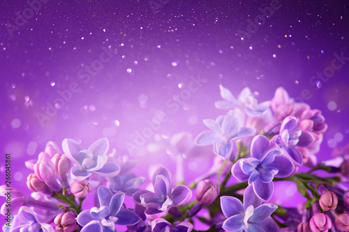 Lilac flowers bunch violet art design background. Beautiful violet Lilac flowers closeup. Watercolor nature floral backdrop