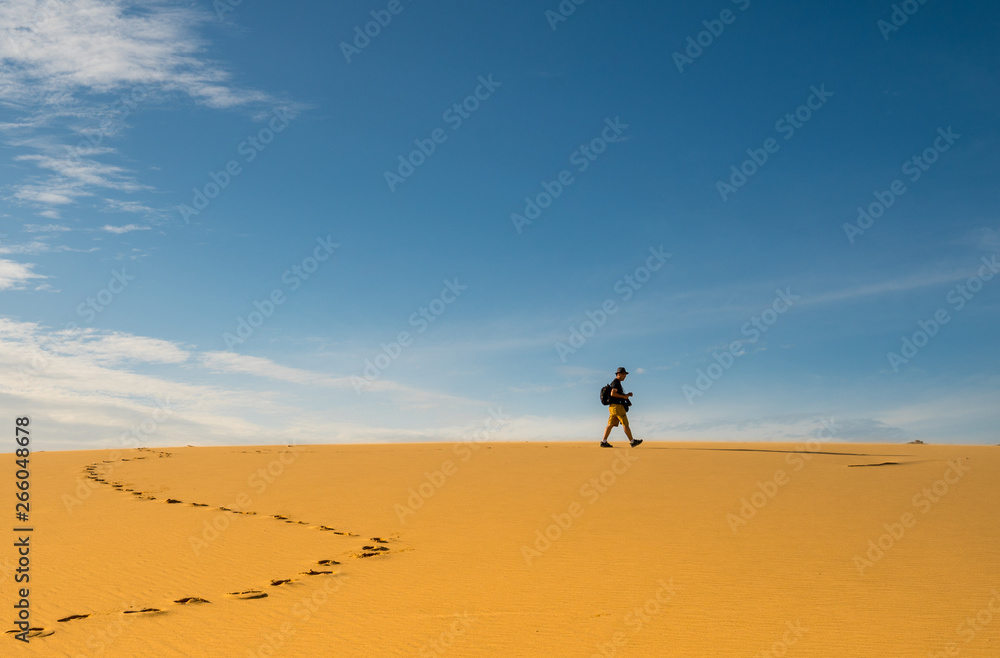 Explorer hiking on a desert