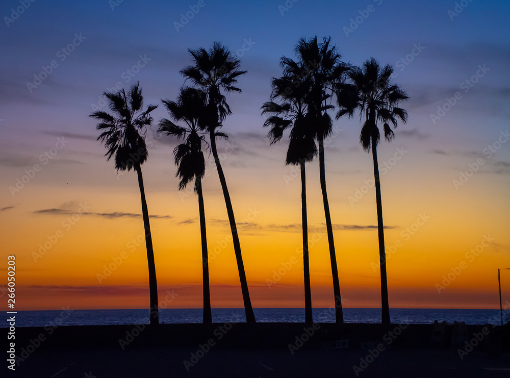 Sunset Palm Tree Silhouette 