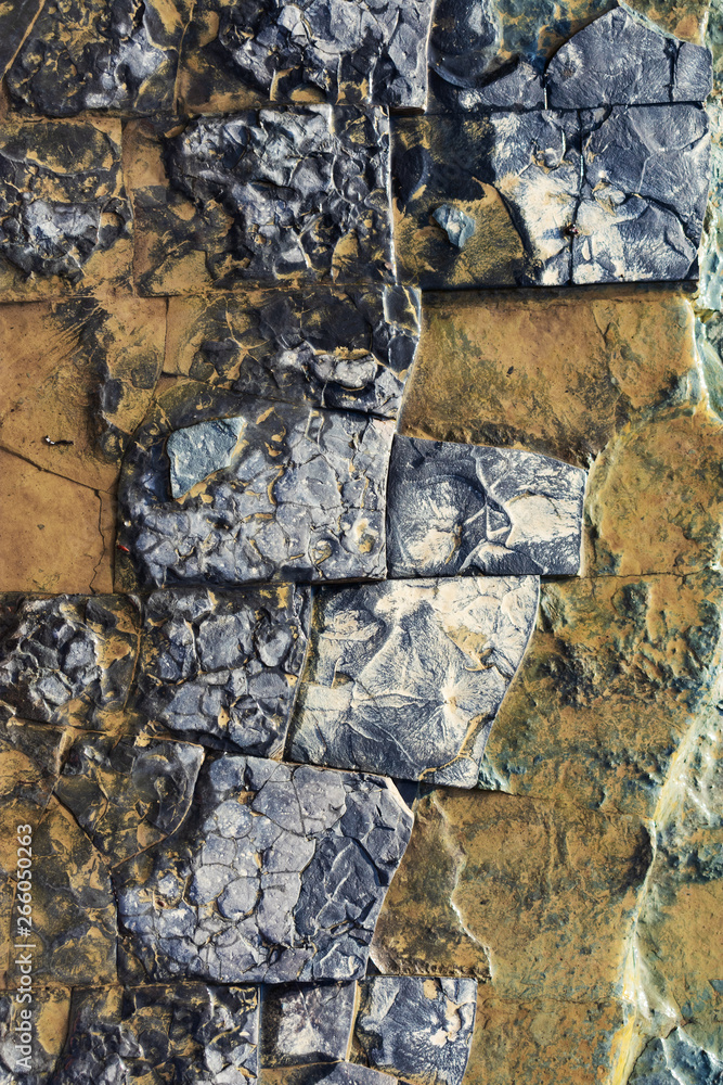 Fototapeta premium Up close abstract of wet shall rock