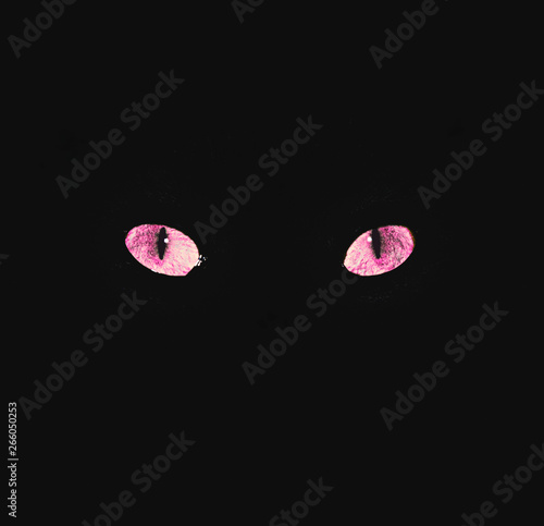 A cat's purple eyes glow brightly in the dark, conveying an atmosphere of menace and fear