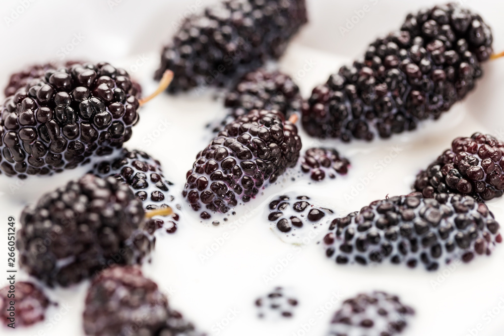 Fresh and delicious mulberries Fresh and delicious mulberries