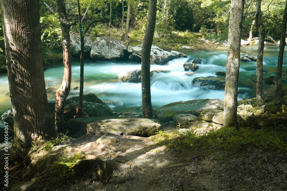 Little River Trailside Rapids - Great Smoky Mountains National Park - Tennessee Little River Trailside Rapids - Great Smoky Mountains National Park - Tennessee