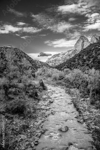 Zion Canyon in Utah - stunning scenery - travel photography