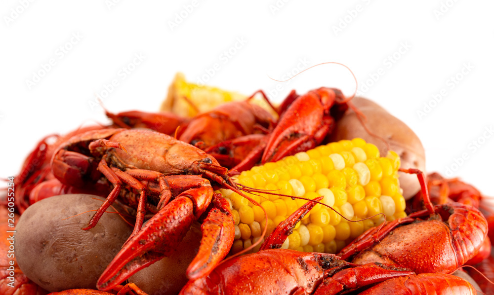 A Crawfish Boil with Corn on the Cob and Potatoes A Crawfish Boil with Corn on the Cob and Potatoes