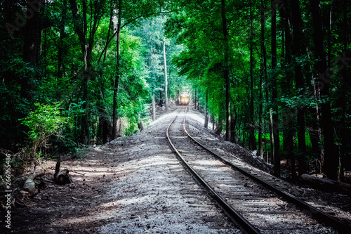 forest railway