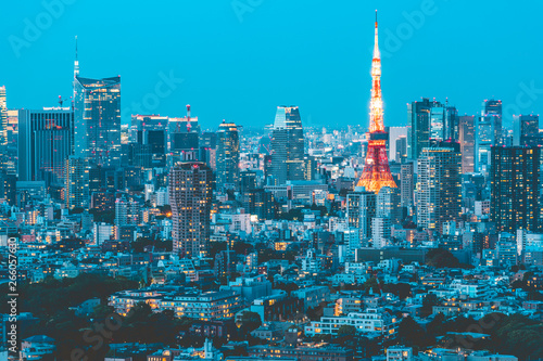 Beautiful night view of Tokyo photo