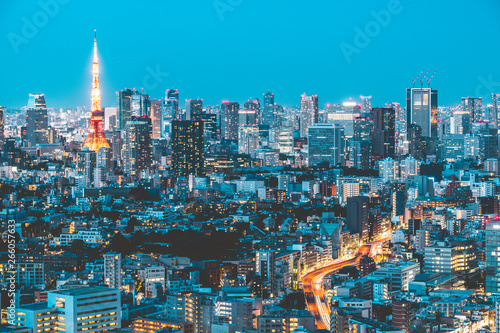 Beautiful night view of Tokyo
