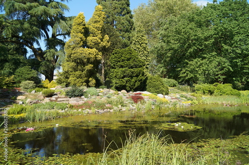 Fototapeta Naklejka Na Ścianę i Meble -  pond in the garden