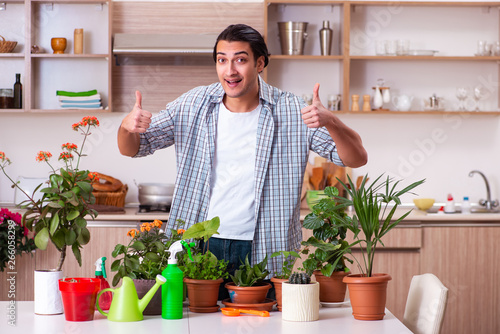 Young handsome man cultivating flowers at home