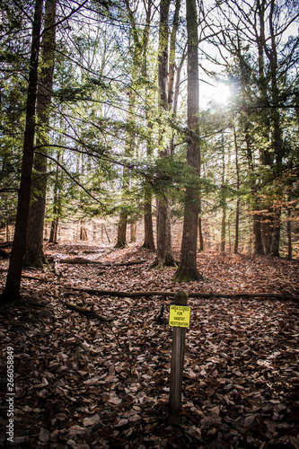 Ohio Nature