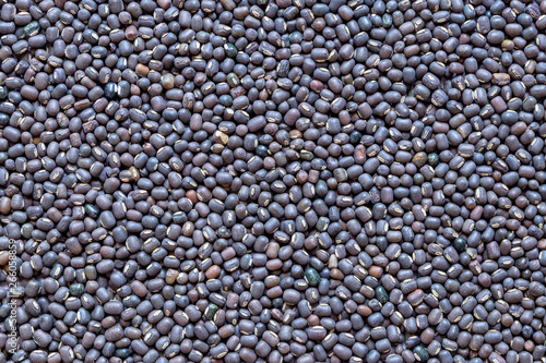 Black Gram Lentils  or Skinned Urad Dal, closeup photo