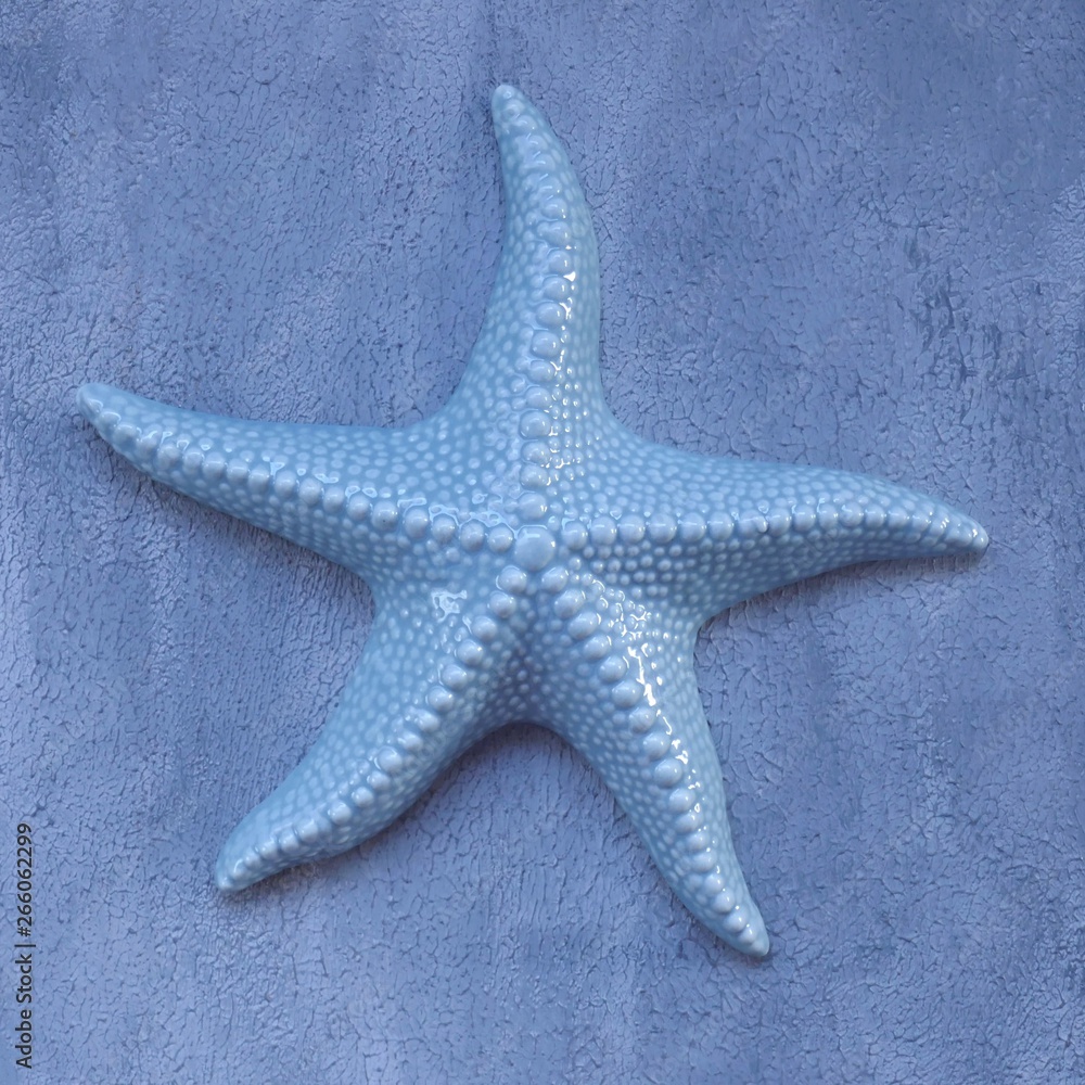 Starfish. Decorative blue starfish on a gray background. Home decor in nautical style.Summer season. Summer time. Starfish. Decorative blue starfish on a gray background. Home decor in nautical style.Summer season. Summer time.