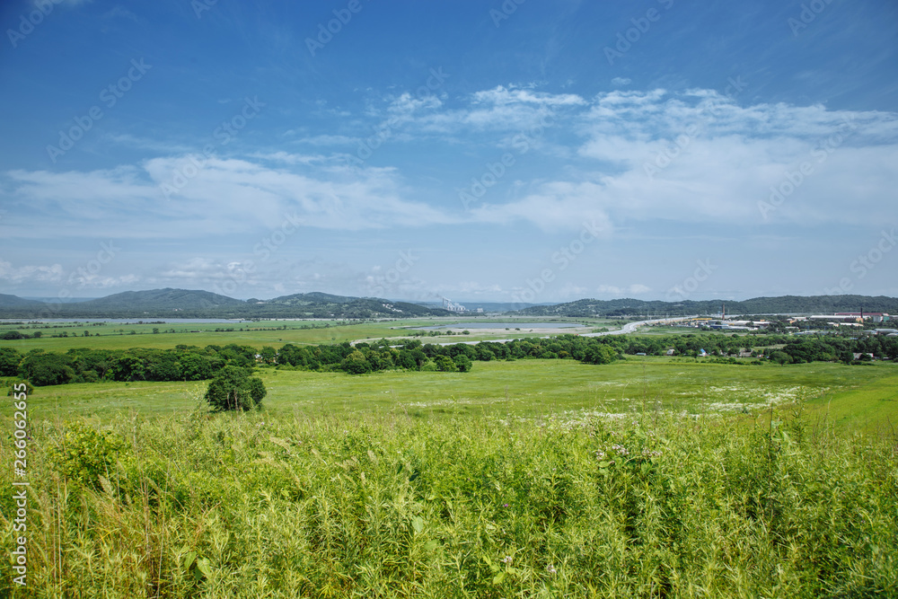 Green Field Forest Sky Blue