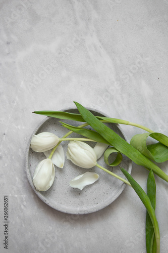 White tulips spring decoration in a home. holiday concept background with copy space