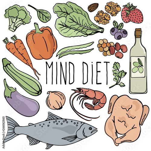 MIND DIET Healthy Nutrition Brain Food Organic Proper Vector Illustration Set for Medicine