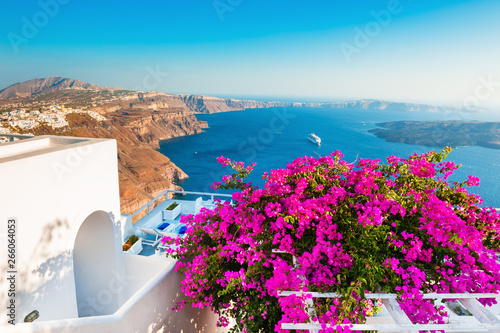 Tree with pink flowers on the terrace with sea view. Panoramic view of Santorini island  Greece.