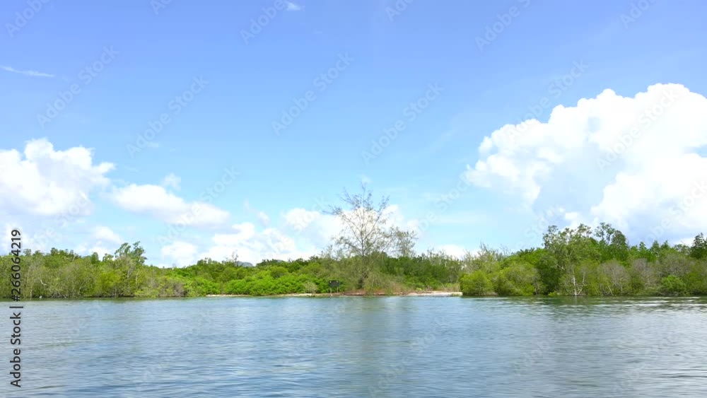 Mangrove forests of tropical Asia Mangrove forests of tropical Asia