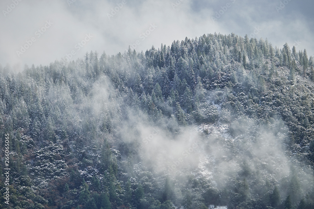 Dramatic Winter landscape of snow storm clouds and fog moving over a forest covered mountain top. Dramatic Winter landscape of snow storm clouds and fog moving over a forest covered mountain top.