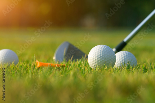 Golf balls and golf clubs as well as equipment used to play golf on green grass