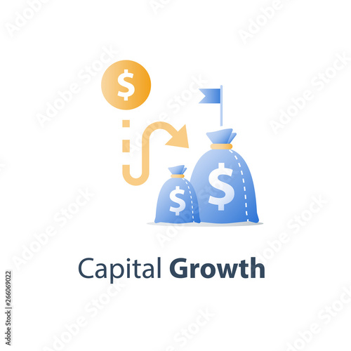 Return on investment, budget planning, cash loan, earn more money, income growth, long term savings account, pension fund payment