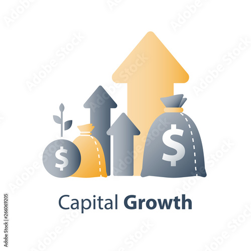 Financial value steady growth, long term investment strategy, asset allocation, revenue increase, mutual fund interest rate