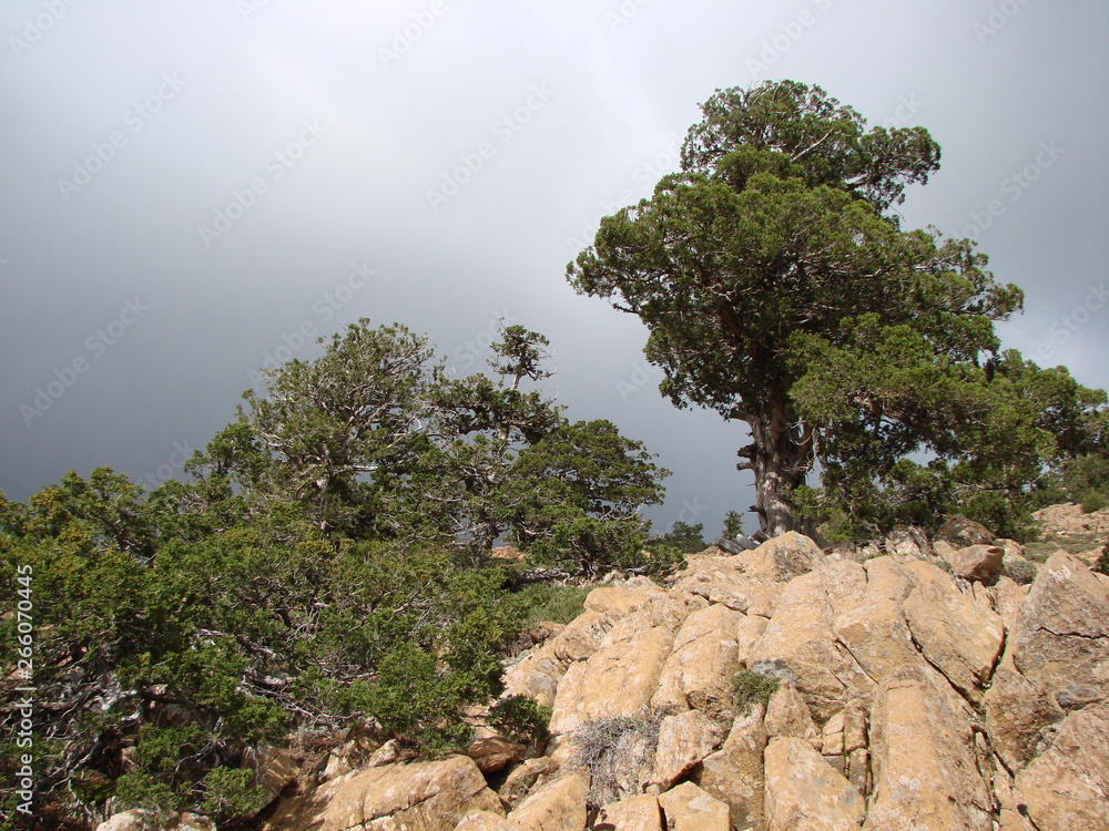 A picture of the natural combination of a rocky mountain ridge under the hot sun rays, and a gray heavy cloud that covers the entire horizon. A picture of the natural combination of a rocky mountain ridge under the hot sun rays, and a gray heavy cloud that covers the entire horizon.