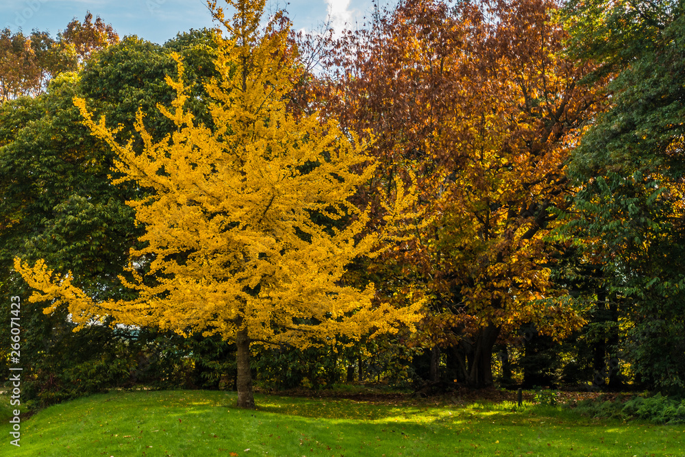 Autumn colours late in the afternoon Autumn colours late in the afternoon