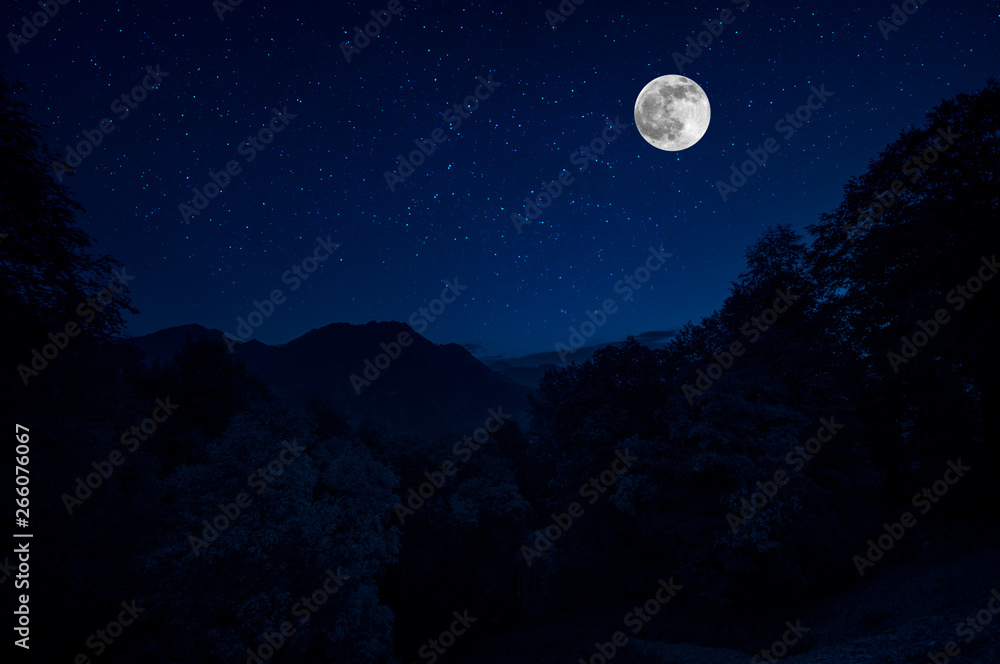Mountain Road through the forest on a full moon night. Scenic night landscape of country road at night with large moon. Selective focus