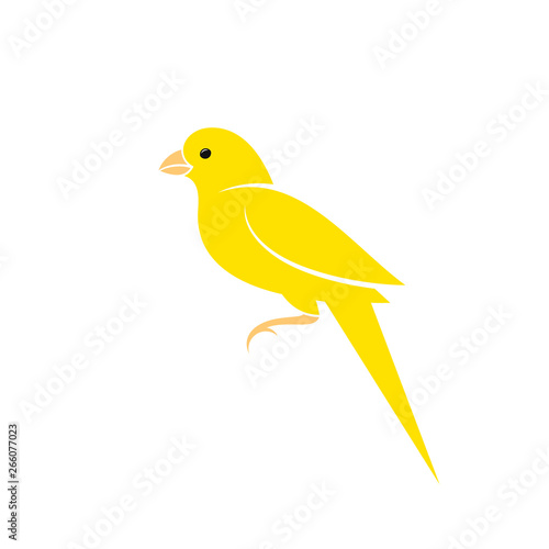 Canary bird. Vector