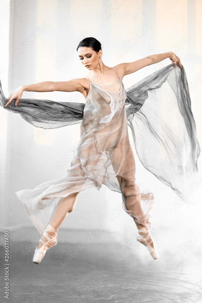 young ballet dancer wearing blue-grey transparent clothes and pointe has incredible grace, lightness and flexibility jumping on the stage with flying fabric and smoke effect young ballet dancer wearing blue-grey transparent clothes and pointe has incredible grace, lightness and flexibility jumping on the stage with flying fabric and smoke effect