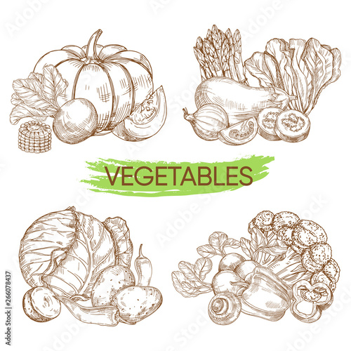 Hand sketched vector vegetables isolated on white background. Illustration of vegetable eggplant and salad, onion and harvest