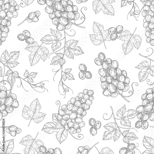 Fototapeta Szkic tekstura tło wektor wzór winogron. Ilustracja bezszwowego wzoru rocznika gałąź winogron, tapeta rysunek owoc