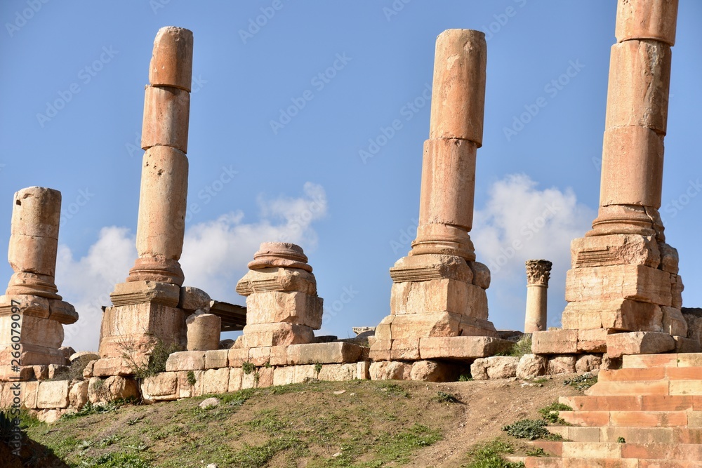 Column Ruins before Temple of Artemis, Jerash, Jordan