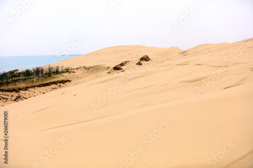 Desert scenery