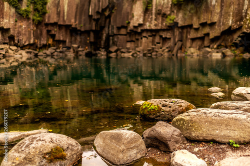 natural pool at the wild, jeju, South Korea