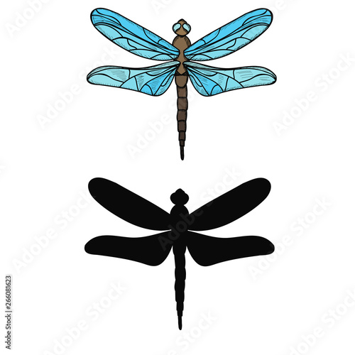 insect, dragonfly with silhouette, icon