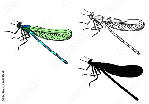 insect, dragonfly with silhouette and sketch, icon