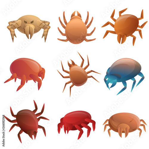 Mite icons set. Cartoon set of mite vector icons for web design photo