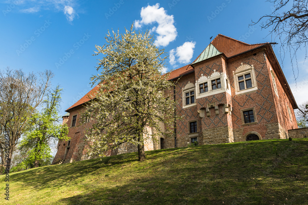 Late Gothic castle in Debno, near Tarnow,Lesser Poland,Poland