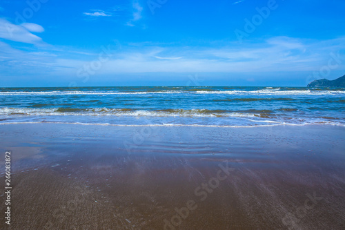 Beach  Palm Tree  Coconut Palm Tree  Tropical Climate  Sand