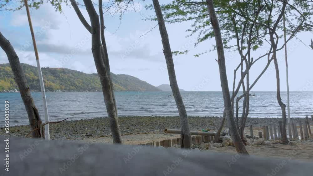 Relaxing view of a quiet ocean from behind some trees planted on the beach Relaxing view of a quiet ocean from behind some trees planted on the beach