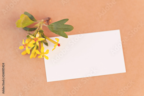 Blank card with spring flowers