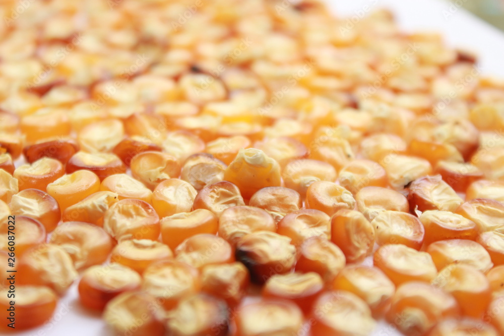 Food concept, corn seeds background. Food concept, corn seeds background.