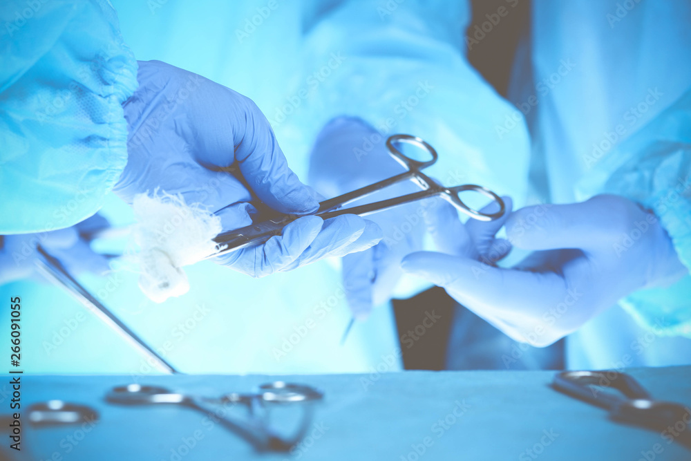 Surgeons hands holding surgical scissors and passing surgical equipment, close-up. Health care and veterinary concept Surgeons hands holding surgical scissors and passing surgical equipment, close-up. Health care and veterinary concept
