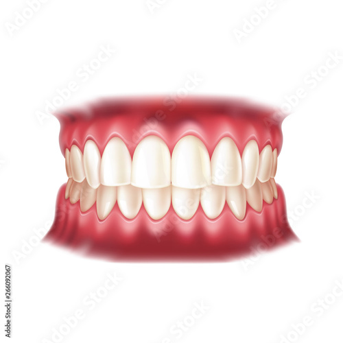 Realistic dentures for dentistry and orthodontics design. Vector human mouth with teeth for medical and toothpaste design. Healthy oral hygiene, jaw prosthesis concept.