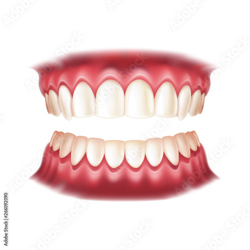 Realistic dentures for dentistry and orthodontics design. Vector human mouth with teeth for medical and toothpaste design. Healthy oral hygiene, jaw prosthesis concept.