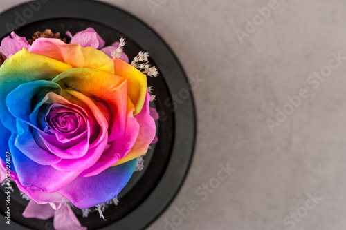 Close up macro shot of multicolored articial rose. photo