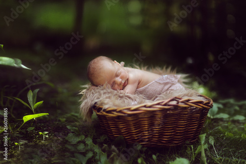 Newborn baby in basket among leaves